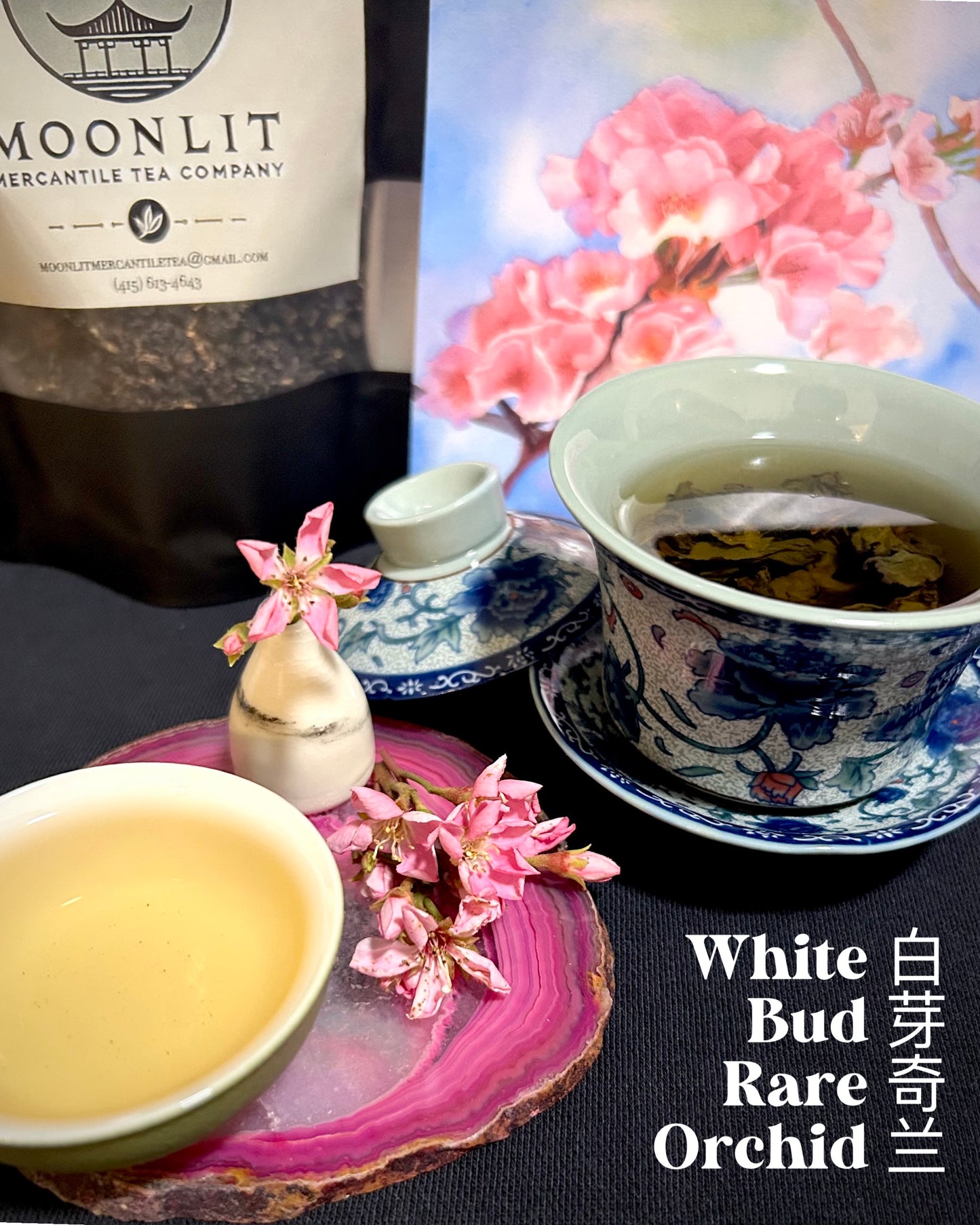 White Bud Rare Orchid (白芽奇兰)