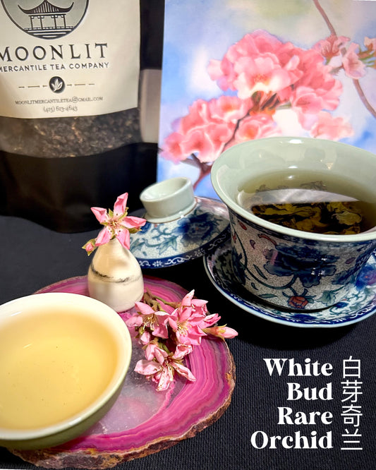 White Bud Rare Orchid (白芽奇兰)