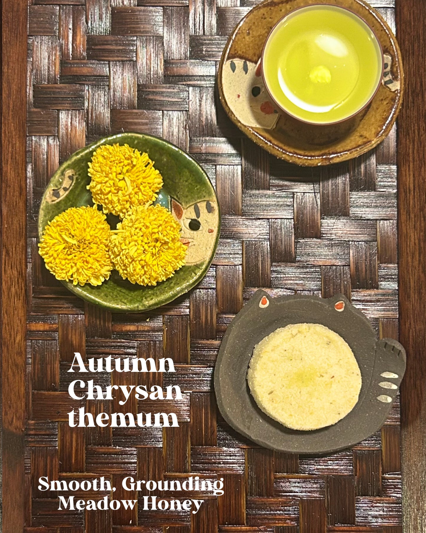Autumn Chrysanthemum