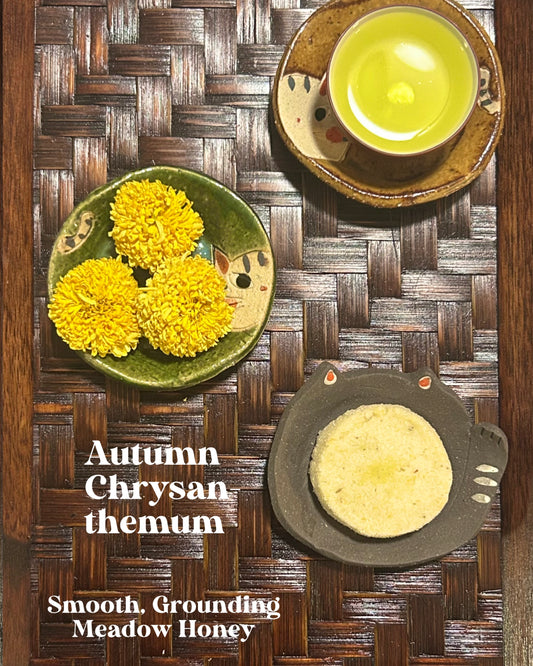 Autumn Chrysanthemum
