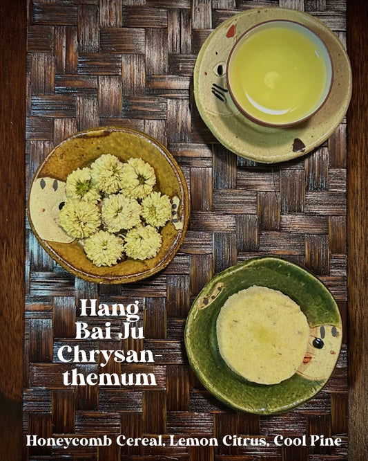 Hang Bai Ju Chrysanthemum